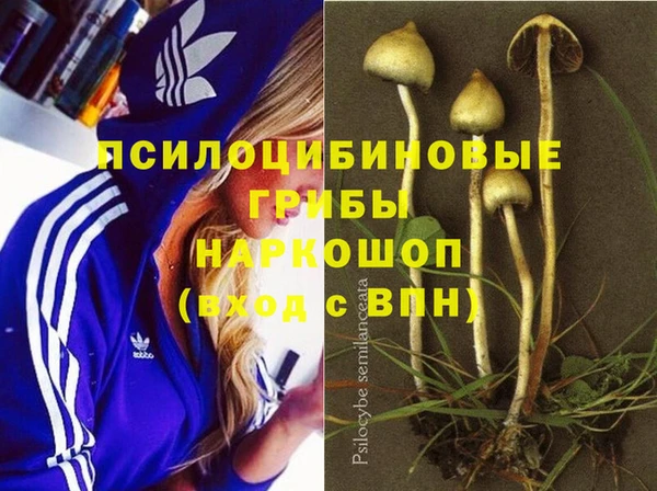 Альфа ПВП Зерноград