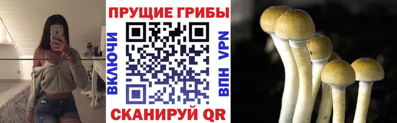 Галлюциногенные грибы мухоморы  Купить закладки  Дегтярск 